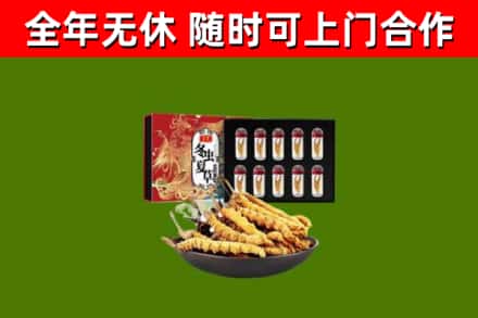 波密烟酒回收冬虫夏草礼盒.jpg